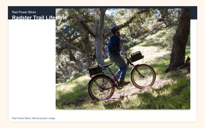 E-Bike Safety Tips for New Riders in the U.S. cover image featuring Rad Power Bikes Radster Trail Lifestyle
