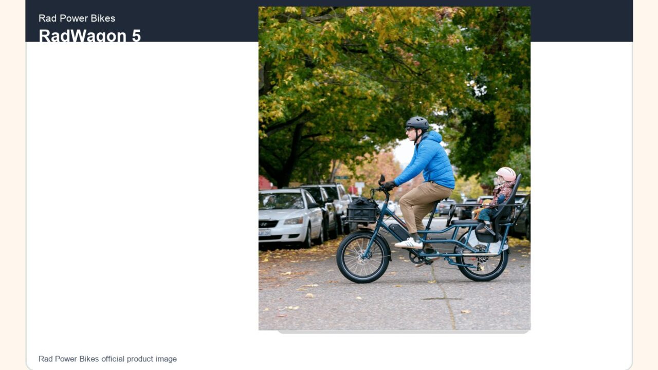 How to Store an E-Bike Battery in Winter: Cold Weather Care for U.S. Riders cover image featuring Rad Power Bikes RadWagon 5